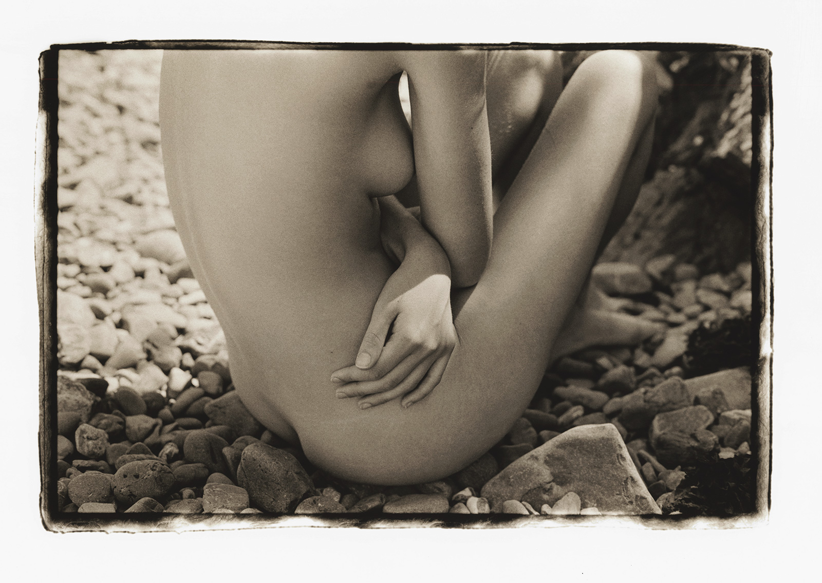KELLY GEDDES FINE ART PRINTS